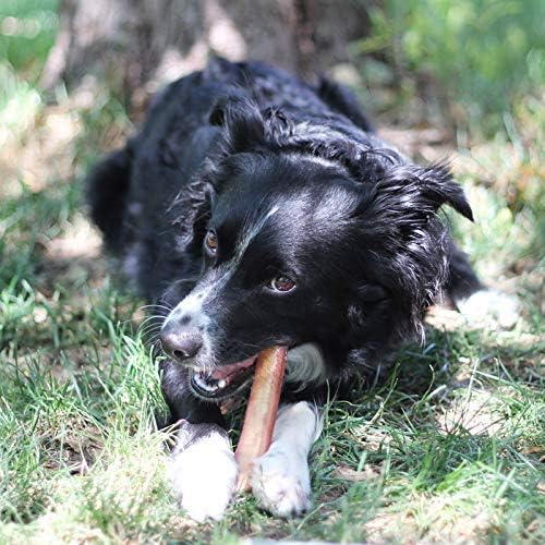 100% Natural Brazilian Bully Sticks - 1 lb Bag 10.00% Off Auto renew - All - N - 1